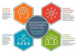 Human Resource Policies and Organization Structure